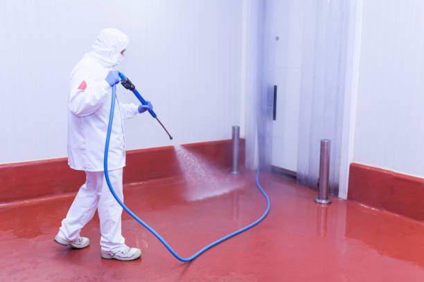 Trusted Sebewaing, MI Pressure Washing Services Experts